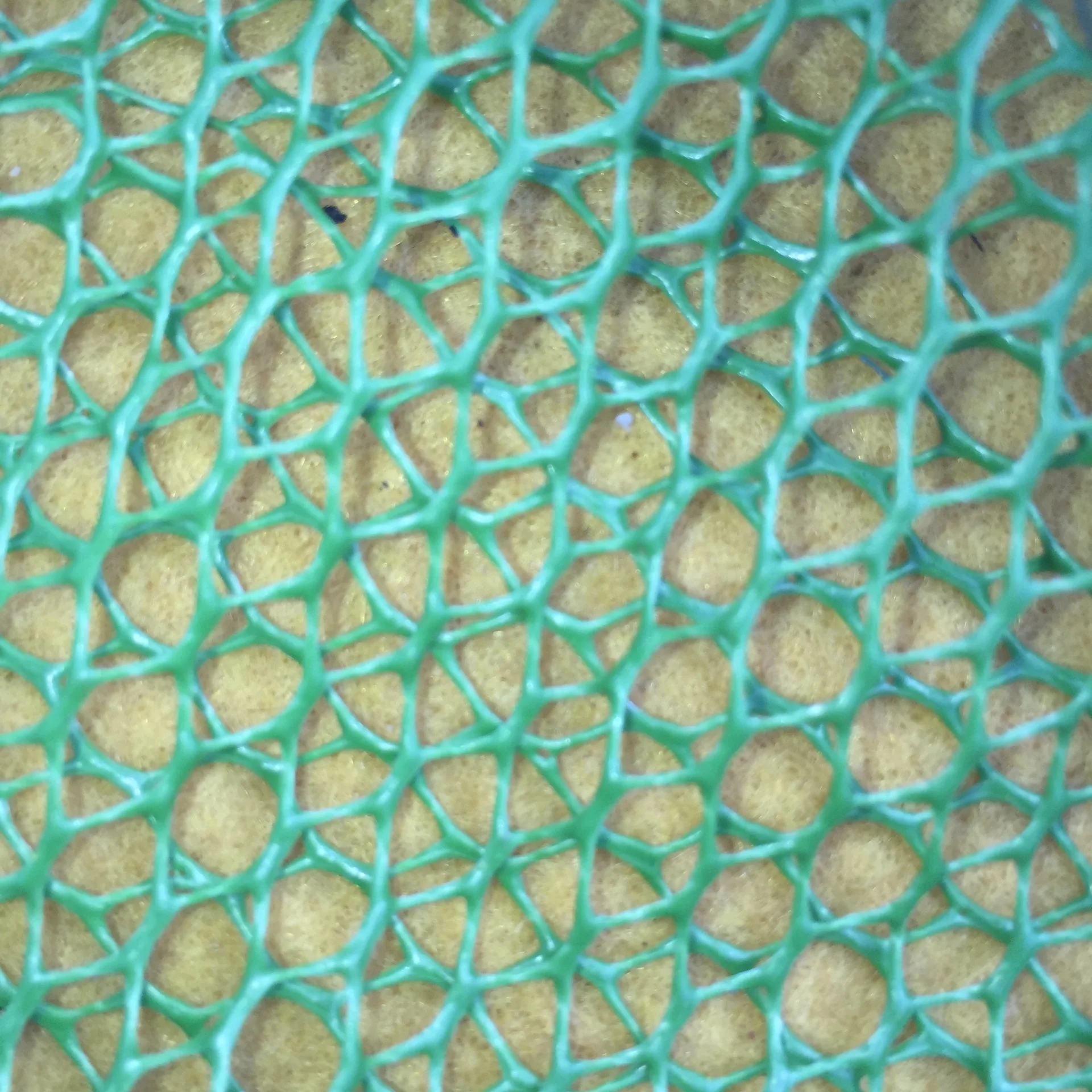 Белый толстый Bigeye Dip Net(0,8-1. 0 шелк) диаметр 40.50.60.70. 80