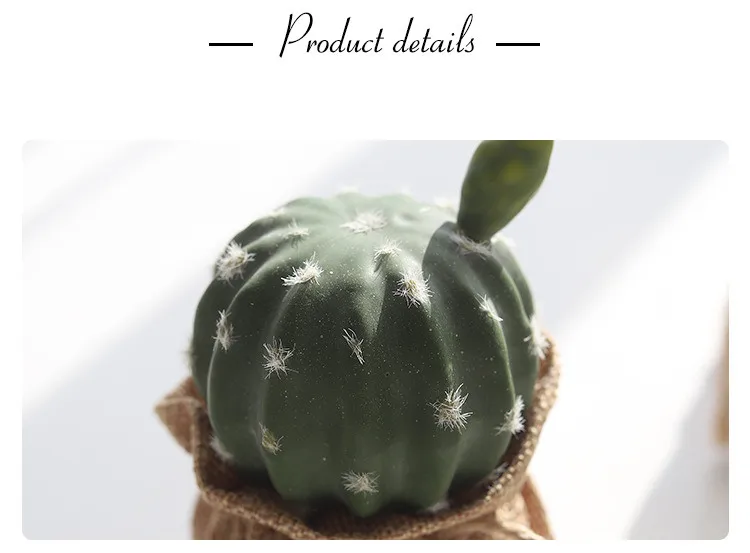 Nordic Wind Simulation Plant Cactus Potted Ornaments Prickly Pear Bonsai Furnishings Home Decorations Succulent Potted QW151 (7)