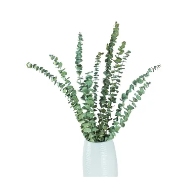 

5 Stems handmade dried real eucalyptus hanging shower bouquet plants natural no preservatives no perfume No Vase
