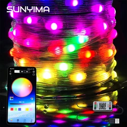 WiFi TUYA Smart Life Dimming Spot Bluetooth APP Lamp 5M 10M LED RGB Copper Wire Magic String Lamps Christmas Decorations