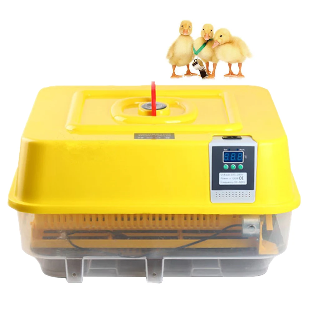 

Mini Automatic 39 Egg Incubator Digital Clear Egg Turning Temperature Control Hatchery CE Approved Brooder
