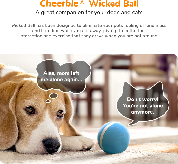magic ball for dogs