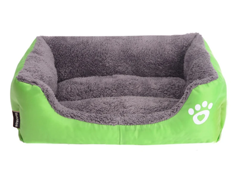 8834941647_527256225