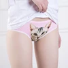 2022 femmes Sexy 3D chat impression culottes sous-vêtements coton slips culotte pantalon Sexy Lingerie intimes slips Shorts caleçons ► Photo 3/6