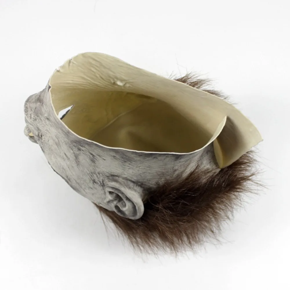 304424_no-logo_304424-1-05-g