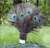 10Pcs Natural Peacock Feather Holiday Party  Plumage Fashion Crafts Beautiful Decorative 25-30cm 1