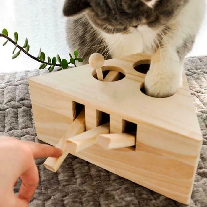 Игрушка для упражнений в виде моли, мышки, кошки, твердая деревянная головоломка, коробка с 3/5 отверстиями, игрушки для домашних животных, DEC889