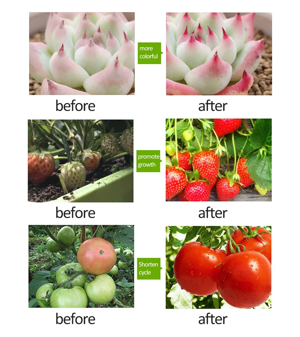 Phyto лампа Espectro Completo 1000 Вт Светодиодный светильник для выращивания, панель для комнатных растений, Фито лампа для растений гидропоника, шатер для выращивания, коробка