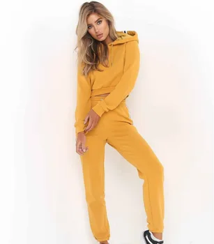 

2019 Autumn Tracksuit Women Long Sleeve Thicken Hooded Two Piece Set Casual Patchwork Suit Fashion Casual Women Tracksuit Set