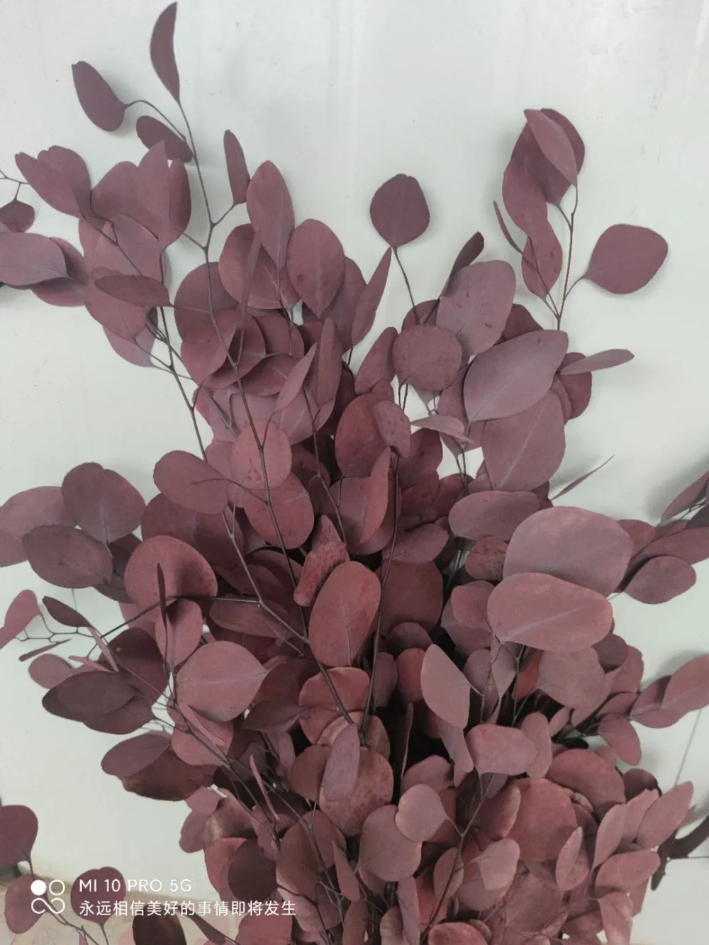 微信图片_20201020150305