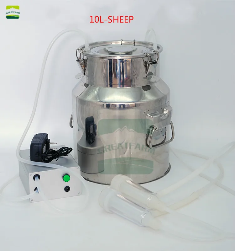 10L-Sheep