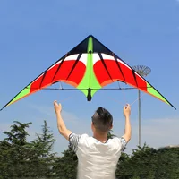 Professional  1.8/2.4 m Swift Power Stunt Kite Dual Line Entry-Level For Beginner Good Flying 1