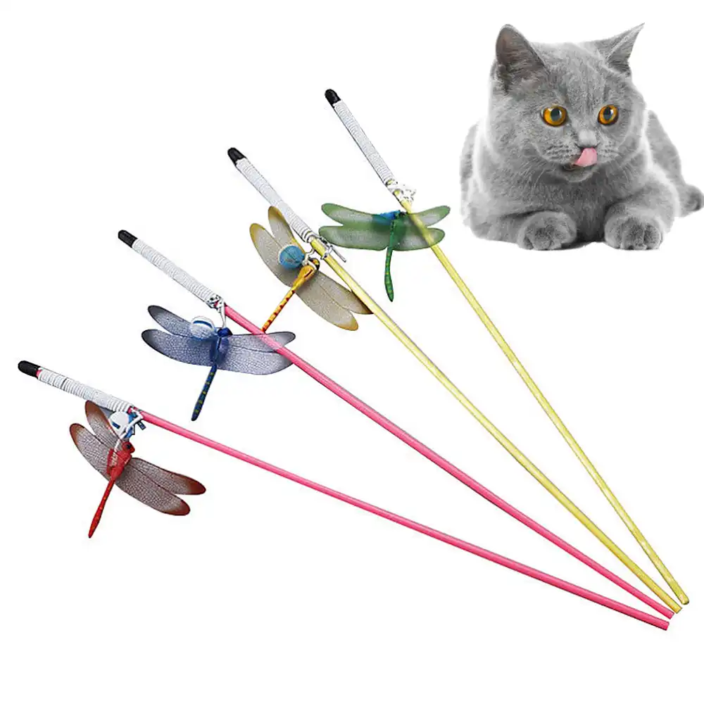 dragonfly cat toy