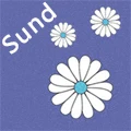 Shop911779283 Store