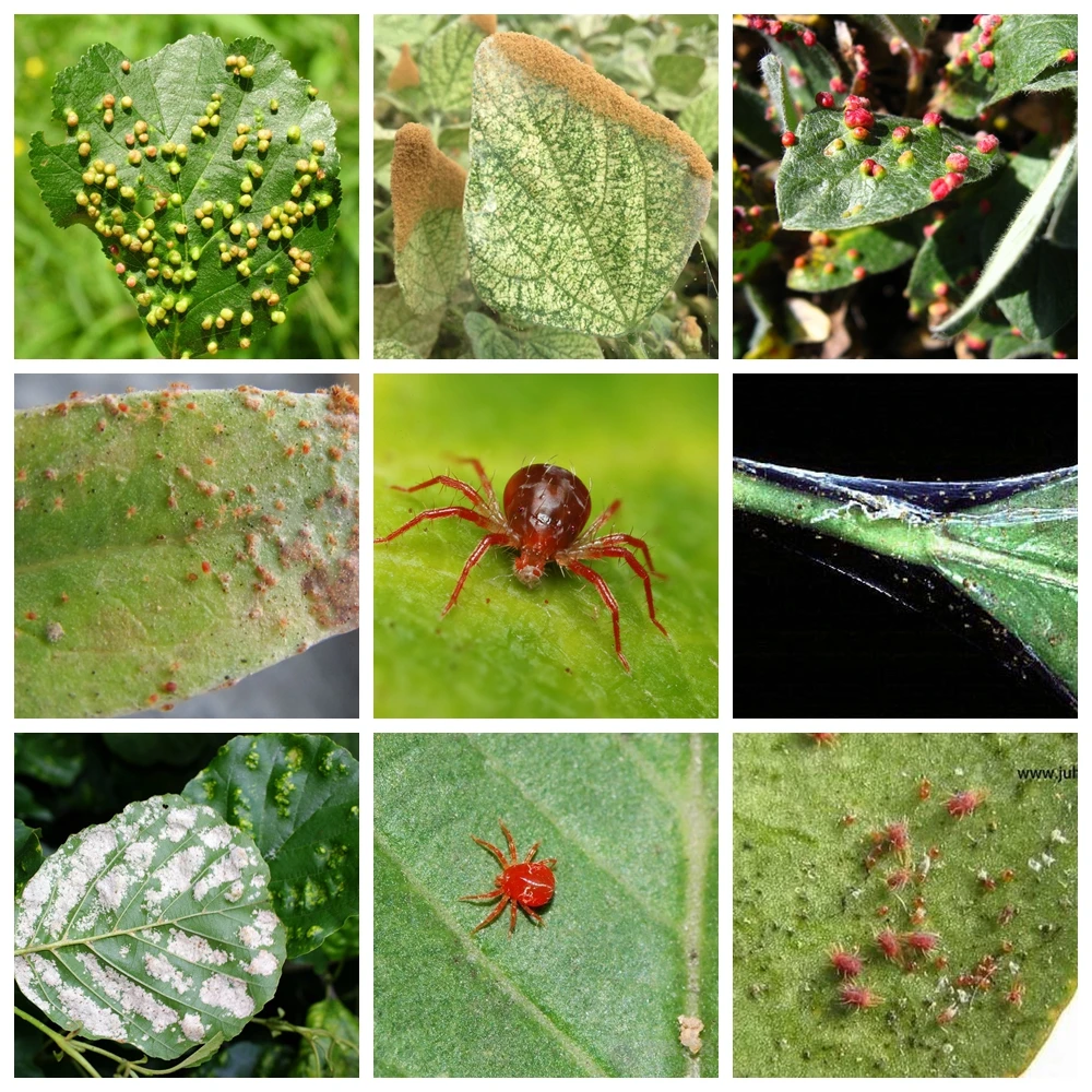 光影魔术手拼图