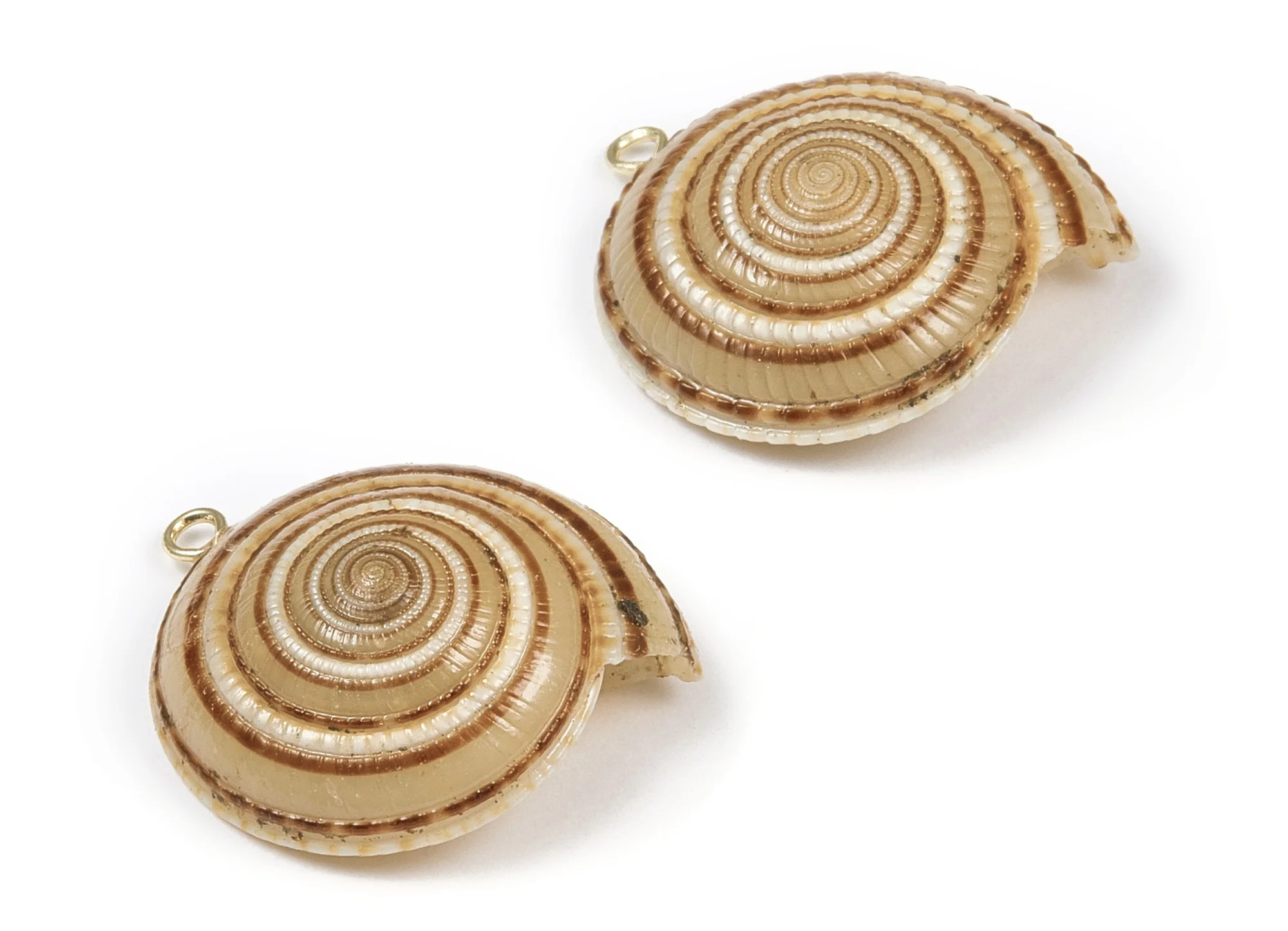 

Whelk Seashell Charms - Seashell Earrings and Pendant- Earring Charms - Natural Seashell - 2pcs/lot - 27.9x26.6mm - SF1096