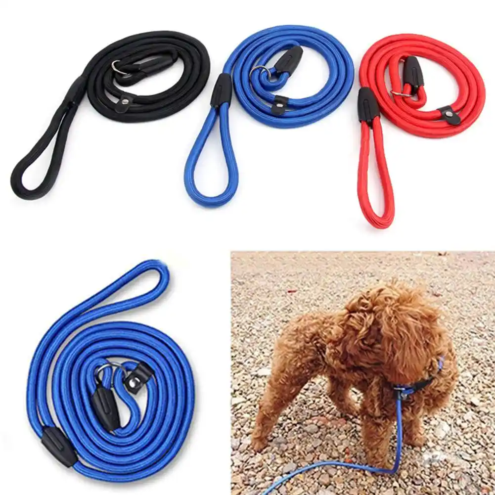 Non slip leash Clearance