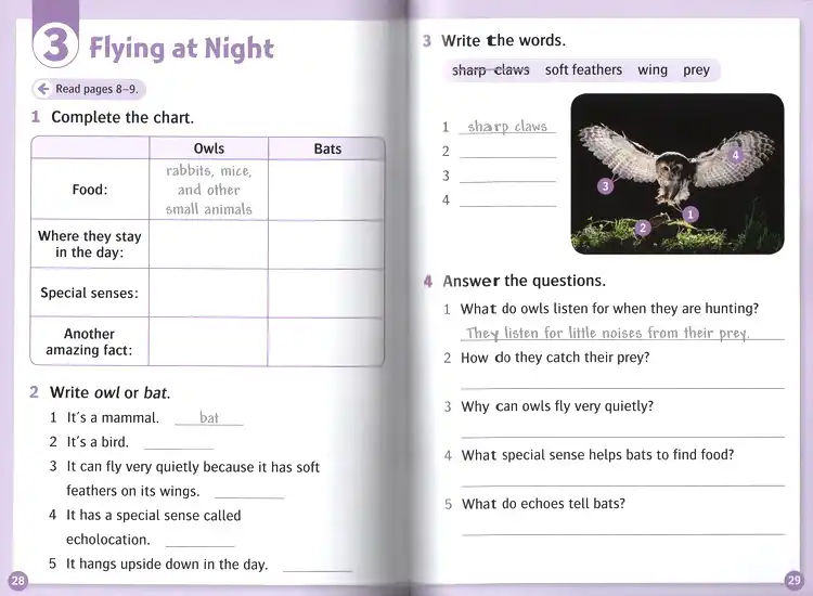 20 Pcs Set Oxford Read And Discover Imagine Level 4 English