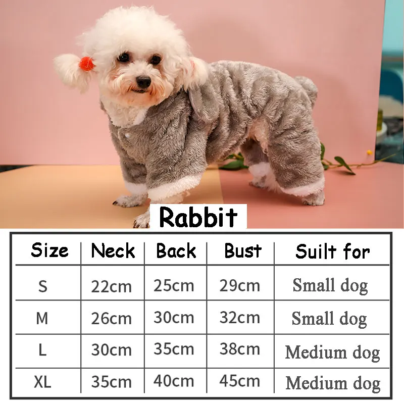 rabbit