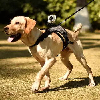 

Sports Camera Breast Strap Fixed Chest Band Dog Fetch Harness Outdoor Adjustable Chest Strap Wear Out Pets