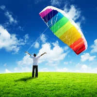 free shipping 2.5m Dual Line Stunt Sports soft Kites with control bar kitesurfing outdoor toys flying kiteboard factory koi new 2