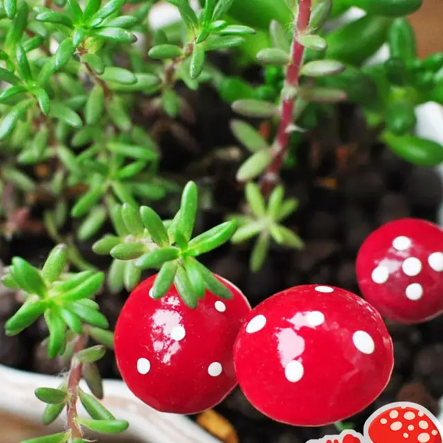 20Db Kawaii Gyanta Kézműves Dekoráció Gomba Tündér Kerti Miniatűrök Kiegészítők Mikroválcape Bonsai Növény Beillesztett Dísz - Image 4