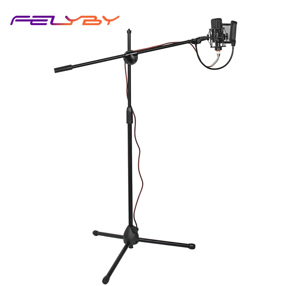 

FELYBY BM1000 Karaoke Condenser Microphone for Recording Podcast Youtube Studio Mic with Floor Stand Microphone Holder
