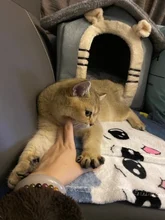 Bed-Mat Basket Kennel Sofa Dog-House Cat-Nest Puppy Cave Foldable Small Chihuahua Pet-Products