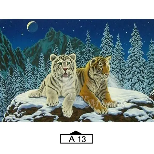 Ever Moment алмазная живопись декор белый леопард тигр снег 5D DIY Полная квадратная мозаика Алмазная вышивка бисером работа ASF1940 - Цвет: A13