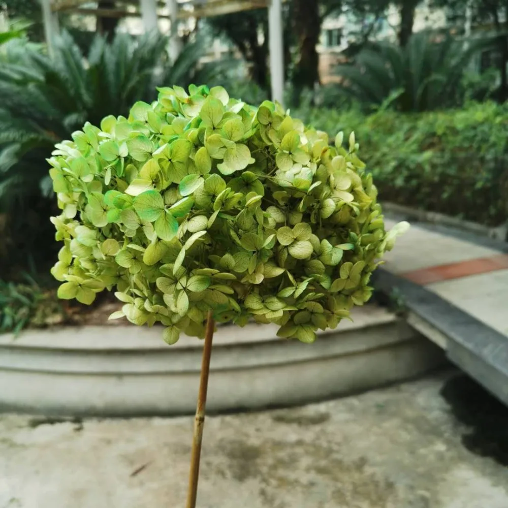 66938dcd3ca1a5fa32a0f50956aef68