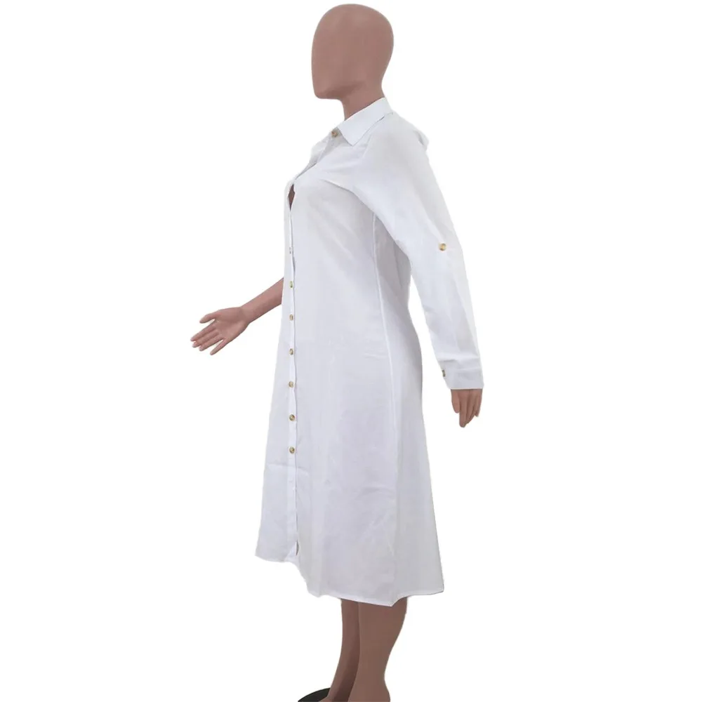 新建文件夹IMG_8286