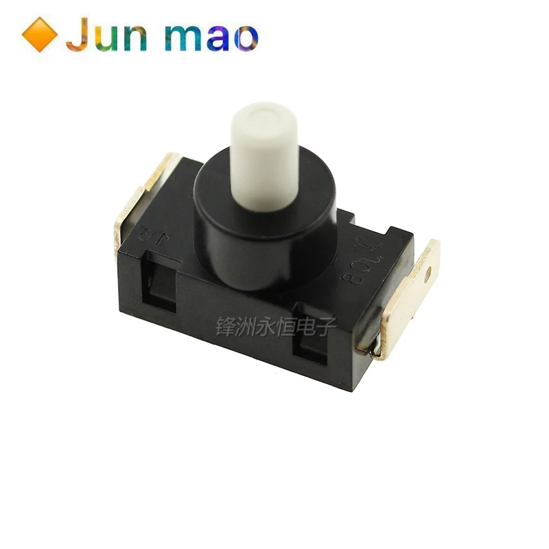 1pcs vacuum cleaner switch 16A125V 8A250V KAN J4 2 button Limit