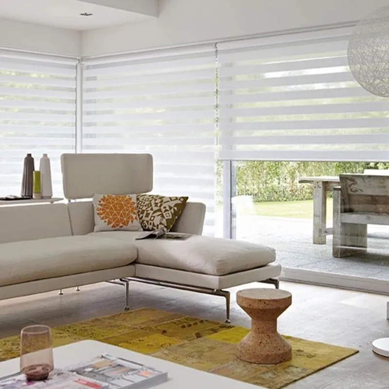 White Zebra Dual Layer Roller Sheer Shades Blinds Light Filtering Window Day and Night Roller Blind Shade Winsharp Basic