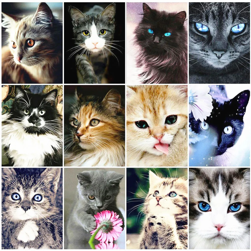 Beautiful cat Diamond Mosaic Cat Animal Rhinestone DIY Full Square Round gifts Embroidery Home Decoration Gift | Дом и сад