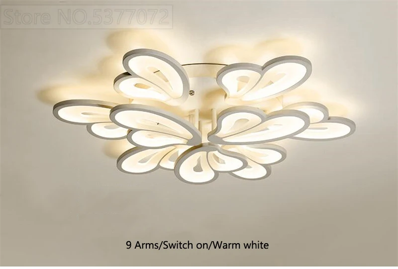 ceiling light for living room (27)