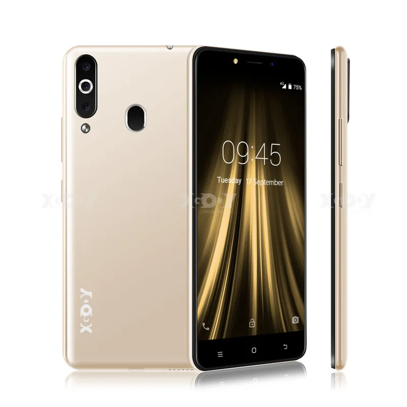 Мобильный телефон XGODY K20Pro, двойной 4G SIM, 5,5 дюймов, 18:9, отпечаток пальца, Android 6,0, 2 ГБ+ 16 ГБ, MTK6737, четырехъядерный, 5 МП, WiFi, мобильный телефон - Цвет: Gold