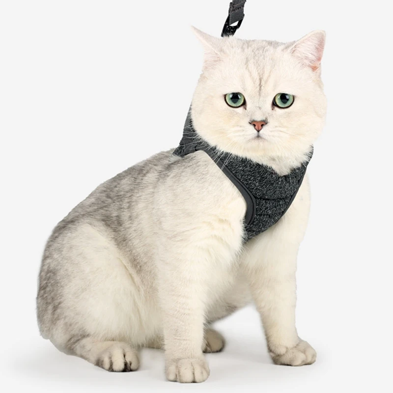 Harnais En Maille Douce Ajustable Pour Chat Veste Anti Fuite Pour Petit Chat Et Chien Avec Sangle Reflechissante Aliexpress Harnais En Maille Douce Ajustable Pour Chat Veste Anti Fuite Pour Petit Chat Et Chien Avec Sangle Reflechissante Aliexpress
