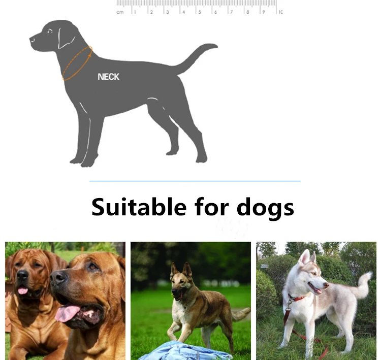 Pet Dog Rivet Collars High Quality Cow Leather Round Bullet Nail Studded Necklace Spiked Strap Punk Style Small Dogs Cat Collar (2)