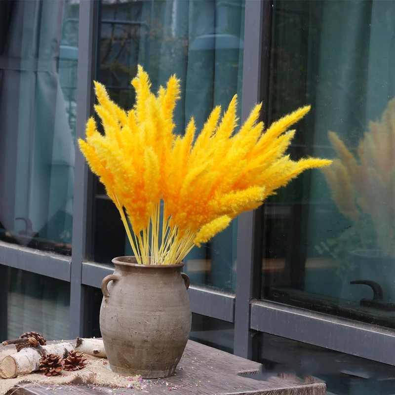 11227966685_932765905