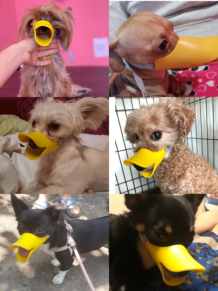 Pet Dog Muzzle Breathable Basket Muzzles Large Dogs Stop Biting Barking Chewing Anti Bite Duck Mouth Puppy Covers Pet Supplies