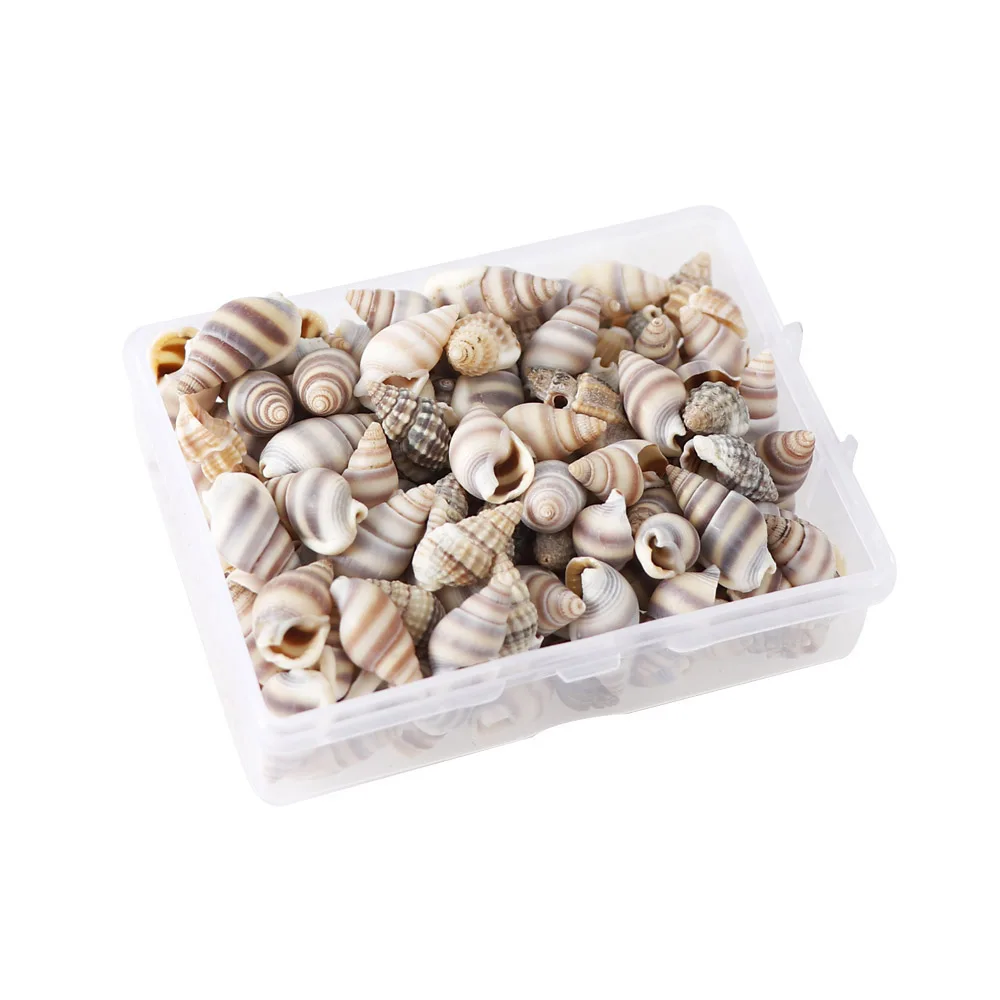 1 Box Pattern 4 Styles Nature Beach Fashion Sea Shells For DIY Caft Decor Jewelery Craft Accessories Holes Shell Decoration - Цвет: 1