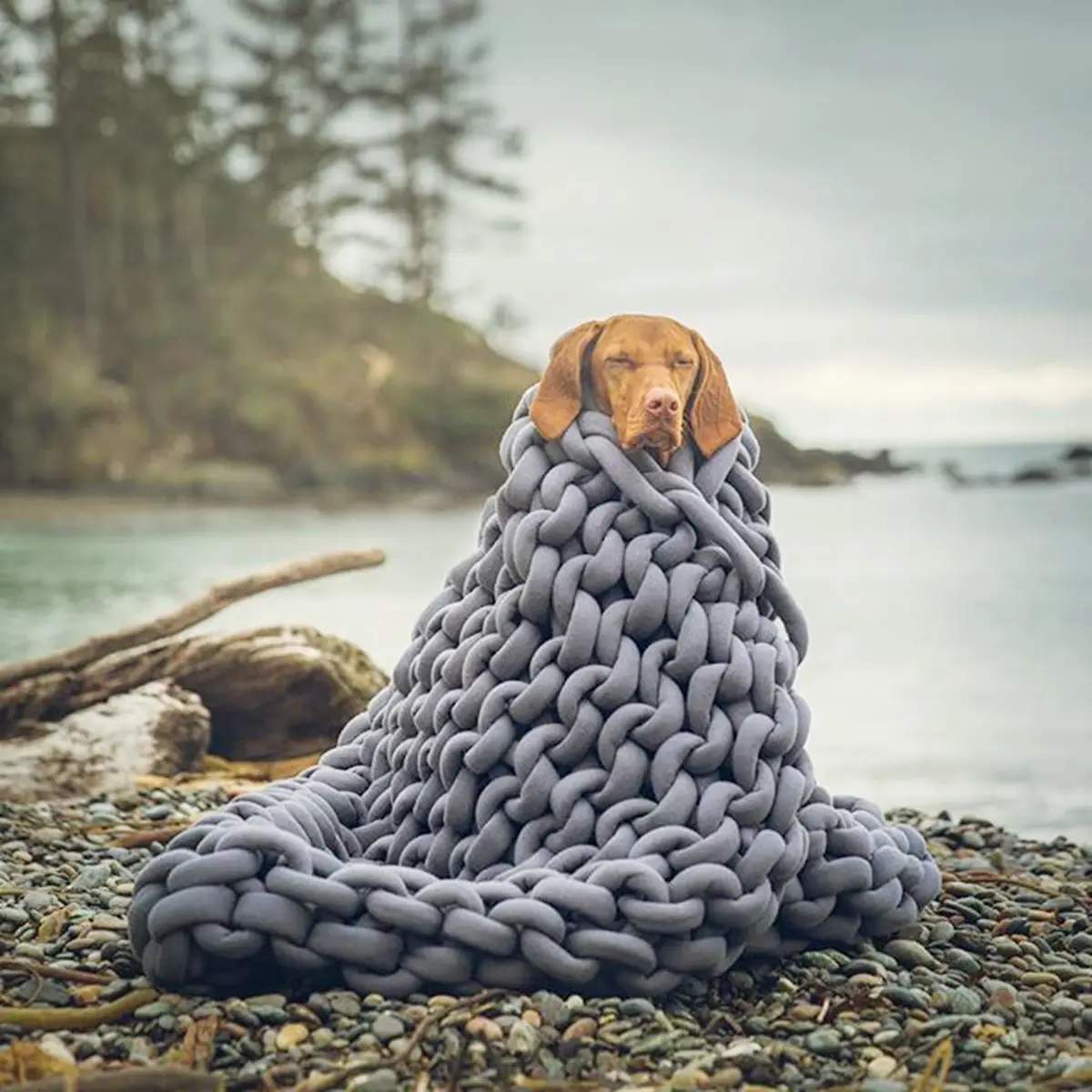 

120x150cm Handmade Knitted Blanket Soft Warm Thick Line Cotton Throw Blankets Winter Soft Warm Knitting Openwork Blanket