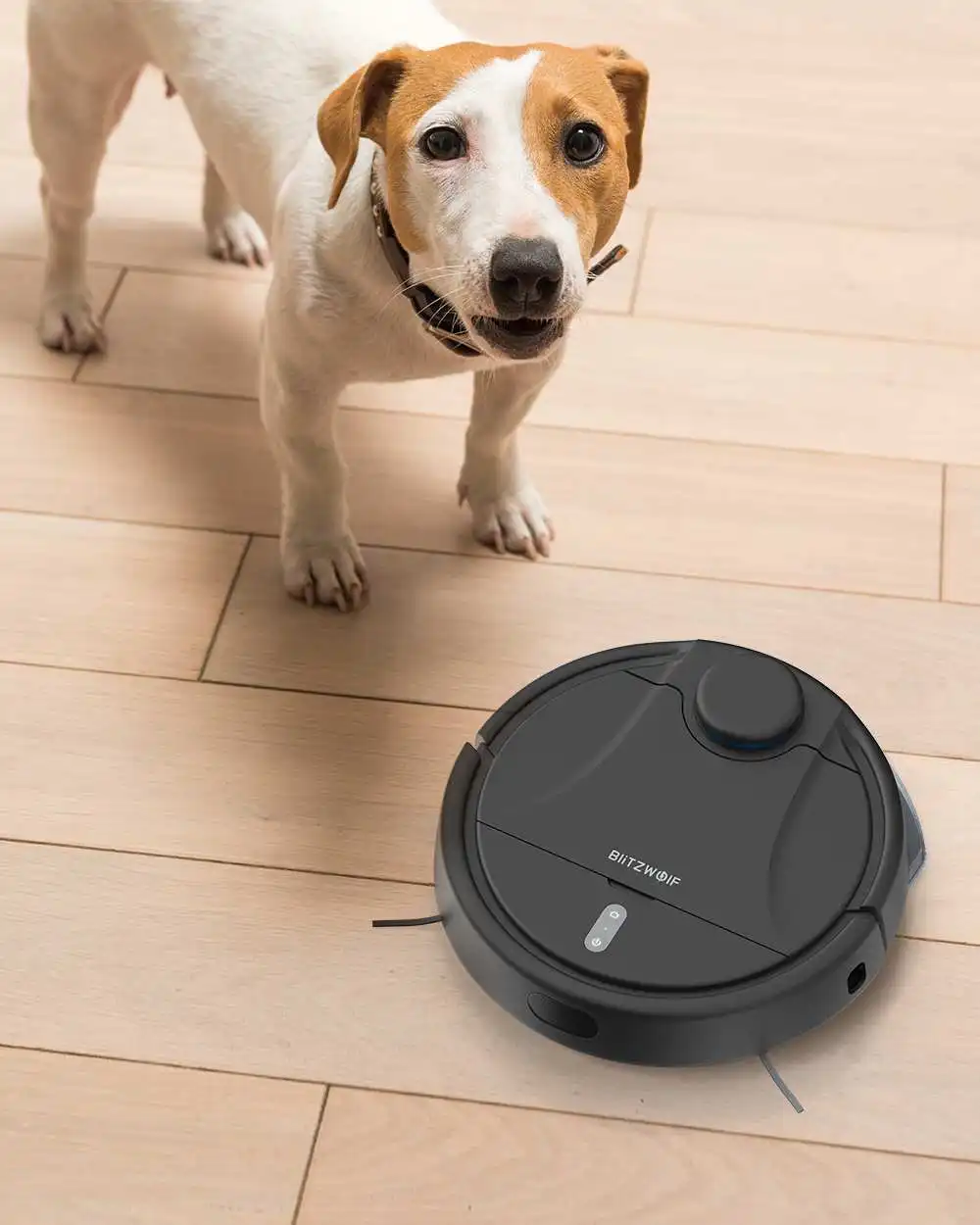 LANMREM Green Contrast Stand Collar Cropped Sleeve