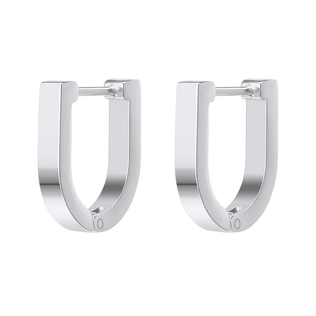 Stainless Steel Hoop Earrings for Women Men Black Rose Gold Plated Circle Round Earring Geometric Classic Cartilage Earrings EH697 Silver