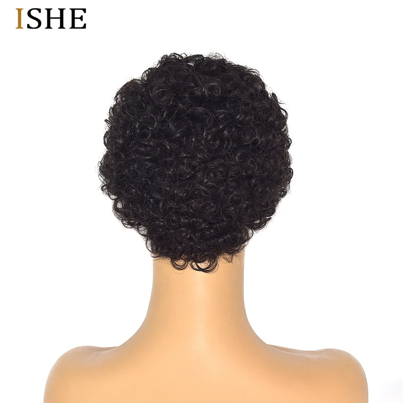 cheap short curly wig for black women 6