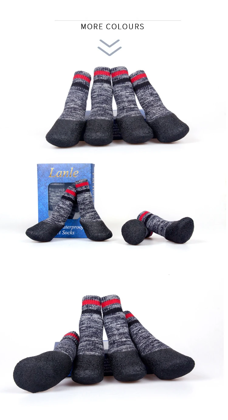 How To Keep Dogs Warm In Winter? Use DogMega's Socks