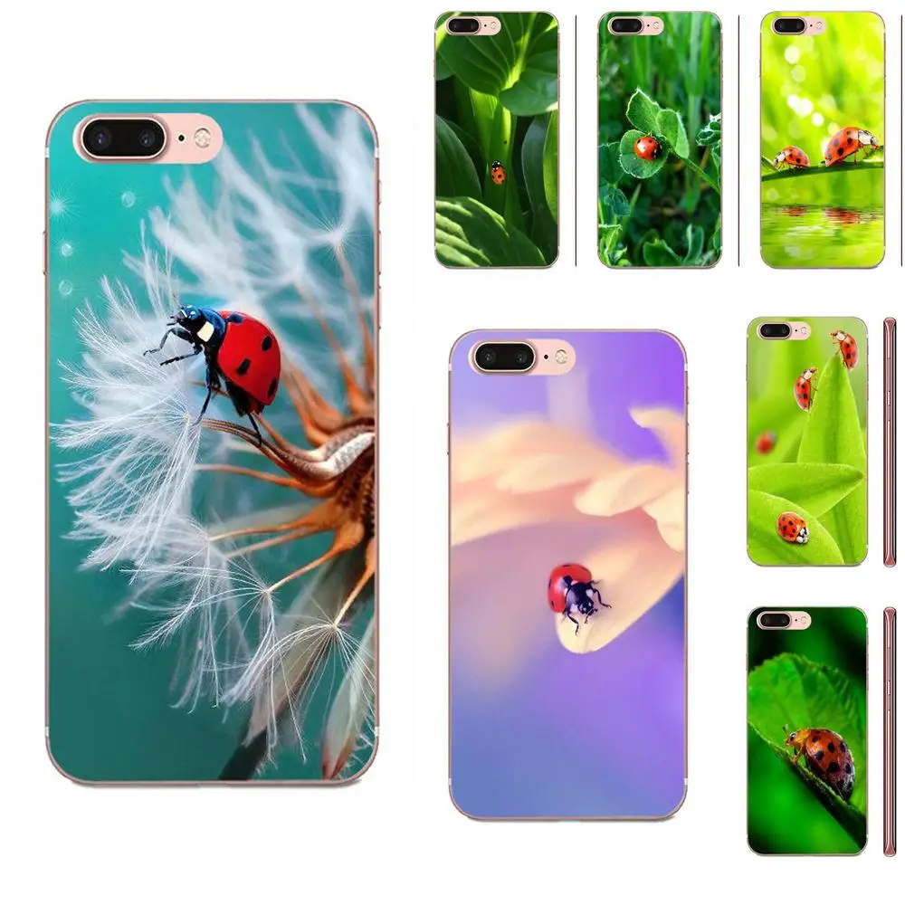 Для LG K50 Q6 Q7 Q8 Q60 X Power 2 3 Nexus 5 5X V10 V20 V30 V40 Q Stylus TPU Lovely Red Lady Bug|Бамперы| |