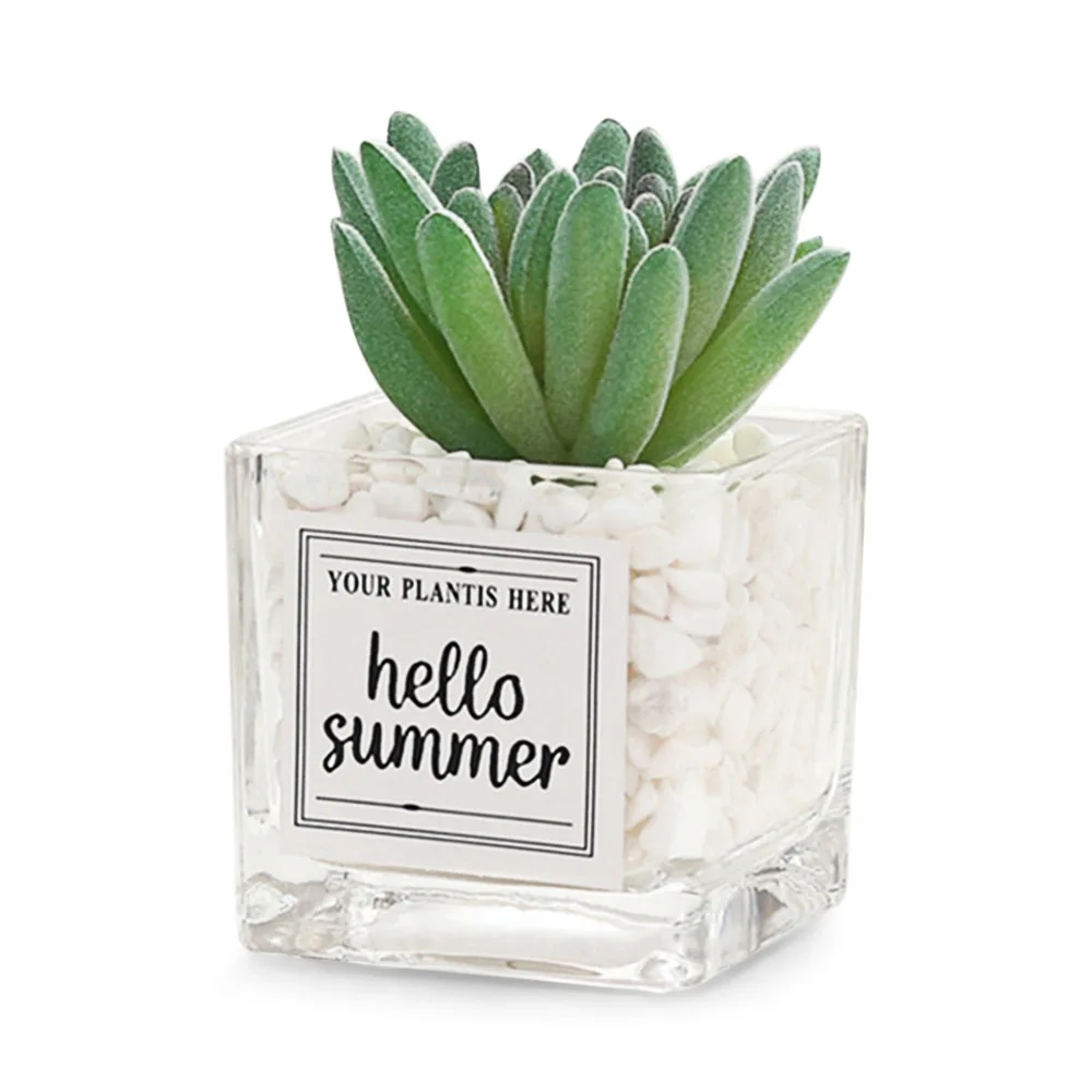 

Artificial Succulent Plants Leaf Desktop Decoration Portable Compact Stones Glass Bottle For Home Shop Garden Party Decor #3