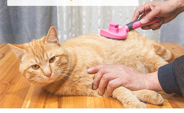 10873425609_463075732