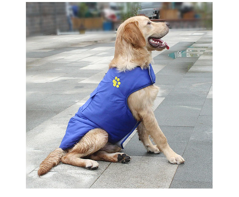Одежда для собак; Водонепроницаемая Куртка для собак; куртка для больших собак; зимняя одежда; костюм для маленьких и средних и больших собак; Ropa Para Perros